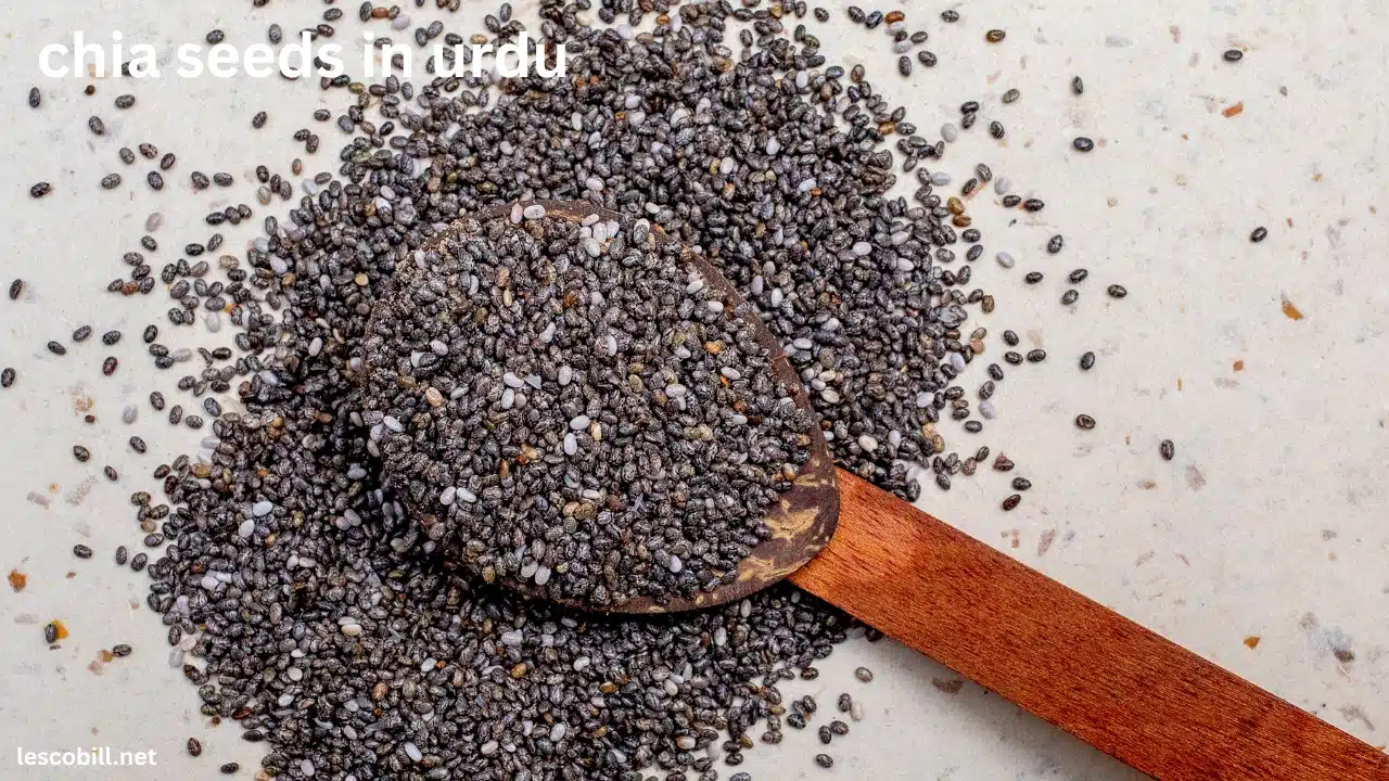 chia seeds in urdu