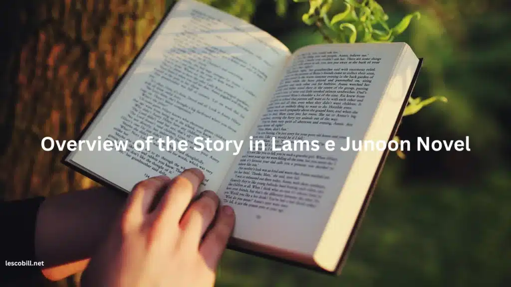 Overview of the Story in Lams e Junoon Novel