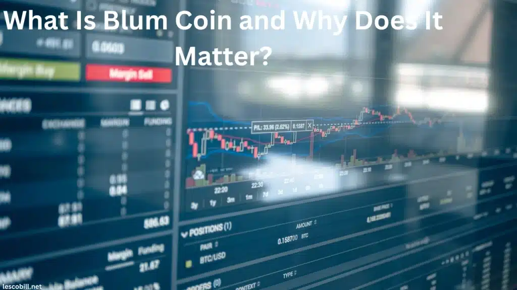 What Is Blum Coin and Why Does It Matter