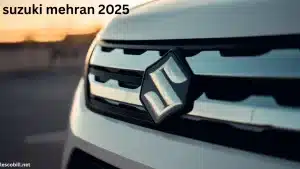 suzuki mehran 2025